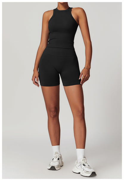 2 peças sem costura conjunto de yoga roupas de ginásio atlético wear ternos d