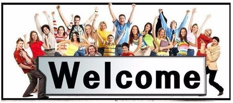 Verão coreano arco laço chiffon camisa elegante gola houndstooth escritório s