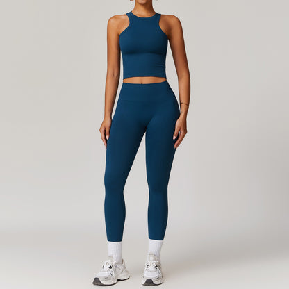 2 peças sem costura conjunto de yoga roupas de ginásio atlético wear ternos d